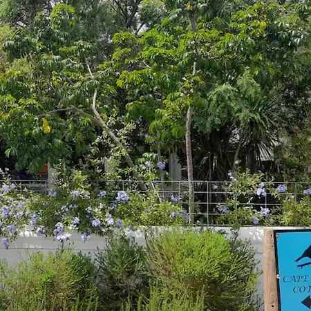 Arkelshoek Cottages Stellenbosch Ngoại thất bức ảnh
