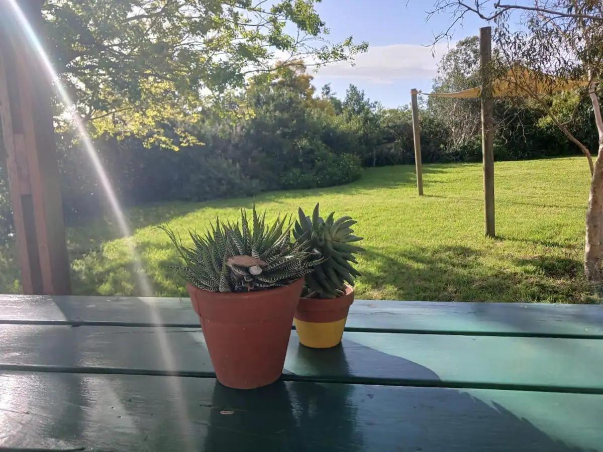 Arkelshoek Cottages Stellenbosch Ngoại thất bức ảnh